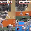 팀태권도&스포츠 이미지