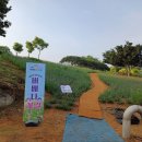 팔랑귀(2) 이미지