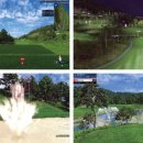 에이스스크린골프 이미지