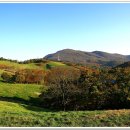 황금빛 목장 이미지