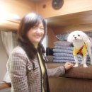 주식회사 이소 이미지