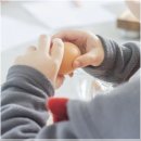 달걀가격 왜 떨어지지 않는지 알려드릴게요