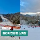 강촌스카이 | 춘천 겨울 가볼만한곳 엘리시아강촌 스키장 놀거리 여행