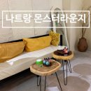 클럽몬스터(CLUB MONSTER) | 나트랑라운지 몬스터멀티플렉스 샤워 짐보관 무료공항샌딩 한번에 나트랑마사지