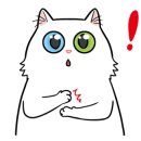 수백한상 이미지