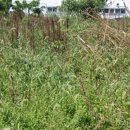 상예동-4 이미지