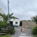 스테이레올 이미지