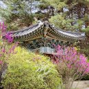 정자중앙길 네이버블로그