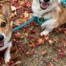 해저댁고택 이미지