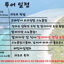 고프로타이어샵 | 보홀 고래상어 발리카삭 스노쿨링 바다거북이 호핑투어 후기 (원클릭 고발투어 비용 일정 소개)