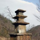 대포리 Daum카페