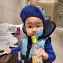 용산-443 이미지