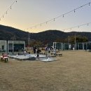 패디필드358 이미지