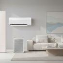 D-21 | 무풍에어컨 추천 삼성 AI 콤보 공기청정 제습 올인원 갤러리 디자인 AF80F17D21CRS 최저가 정보 후기