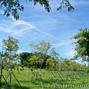 오이도 기념공원 이미지