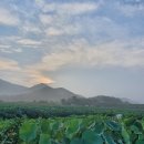 덕고개농장 이미지