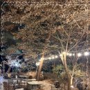 더블링독 이미지