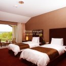 CC카써비스 이미지