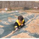 민균농장 이미지