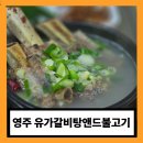 건강한 보약 갈비탕 | 아침부터 완뚝부르는 영주맛집! 풍기인삼 품은 유가갈비탕앤드불고기 후기