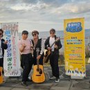 퐁낭아래 이미지