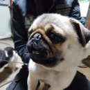 서정남로 이미지