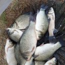 항포낚시터 이미지