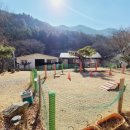 포시즌밸리계곡애견펜션 이미지