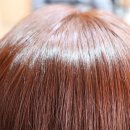 헤어리치맘 네이버블로그