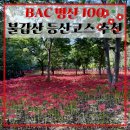 [전라도] 영광 불갑산 등산코스 추천 / 상사화 만개 후기