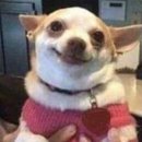 명품곱창