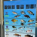 대어호