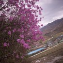 월암마을회관 이미지