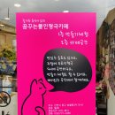 꿈꾸는뿔인형극카페&갤러리