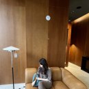 카멜레온호텔 | 무브먼트랩 의왕 | 잭슨카멜레온, 무니토, 바이헤이데이 소파 침대