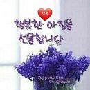 행복한아침 이미지