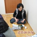 이레홍삼
