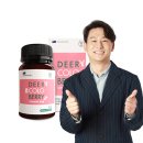 디어패밀리 이미지