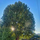 해브온 비 이미지