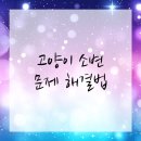 서울동물병원 이미지