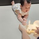 스마일웍스 | 아기 수면등 귀여운 모노스마일 강아지 무드등 추천