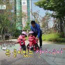 타요바이크