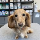 아인스동물병원 이미지