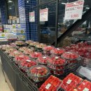 딸기피씨 이미지