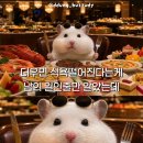 트리플짐 | 계룡 PT 트리플짐 73회차 후기ㅣ다이어터의 먹방 기록