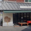 느티나무 그늘아래 평상 이미지