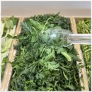 소야초등학교 | 샤브올데이속초점 속초 샤브샤브 맛집 샤브올데이 방문 후기