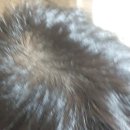 세보식품 이미지