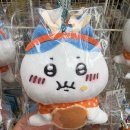 リシットはだいじょぶです。