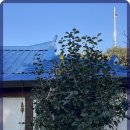 서현민박 이미지